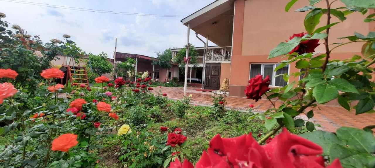 Vip Hostel Turkistan מראה חיצוני תמונה